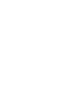 Logo der Rechtsanwaltskanzlei Dr Jens Holscher